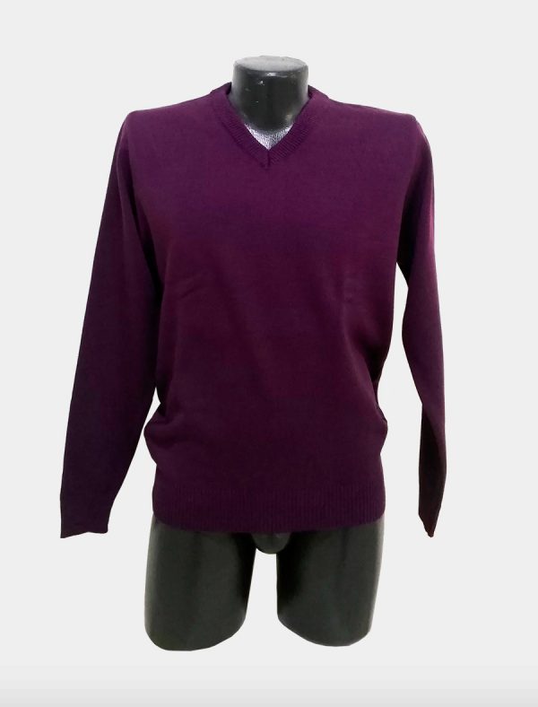 Buzo para hombre morado